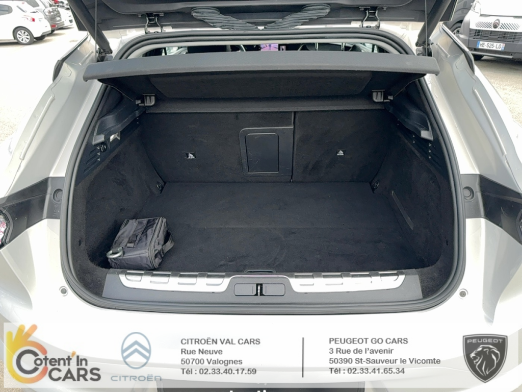 Ds DS 4 (2) E-TENSE 225 PERFORMANCE LINE + AUTO