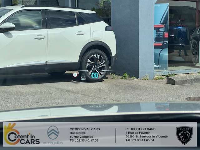 Ds DS 4 (2) E-TENSE 225 PERFORMANCE LINE + AUTO