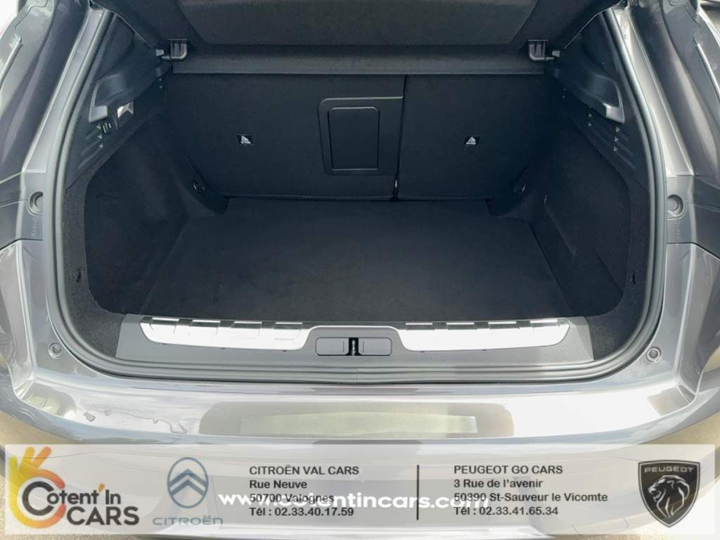 Ds DS 4 (2) PURETECH 130 PERFORMANCE LINE + AUTO
