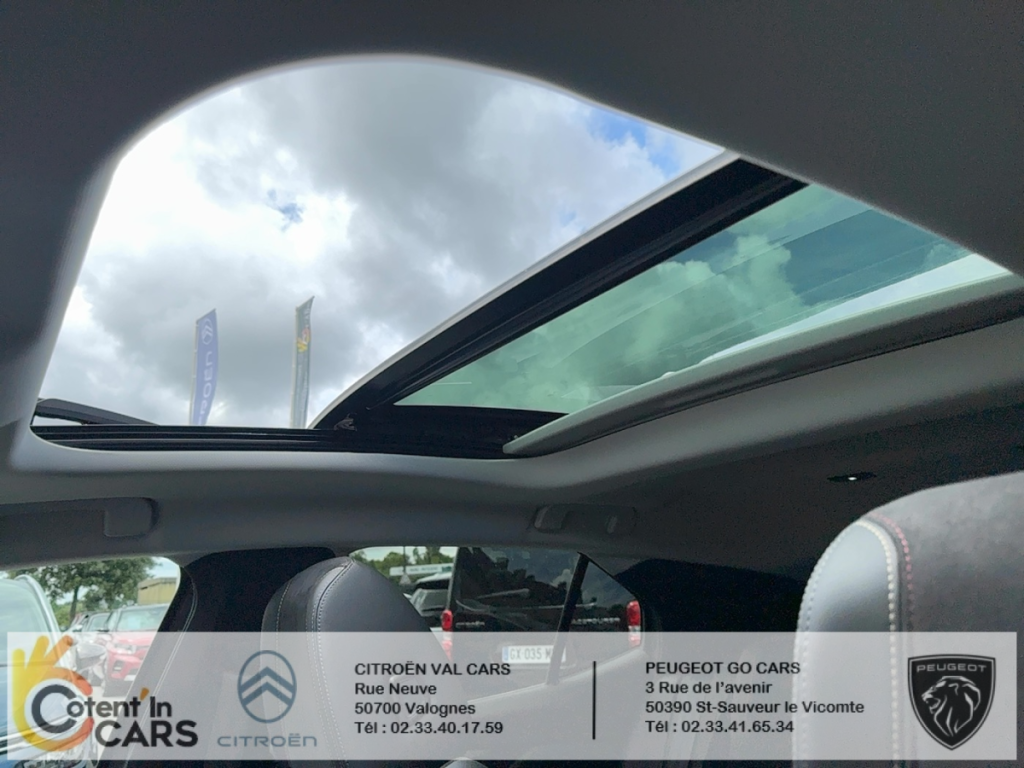 Ds DS 4 (2) PURETECH 130 PERFORMANCE LINE + AUTO