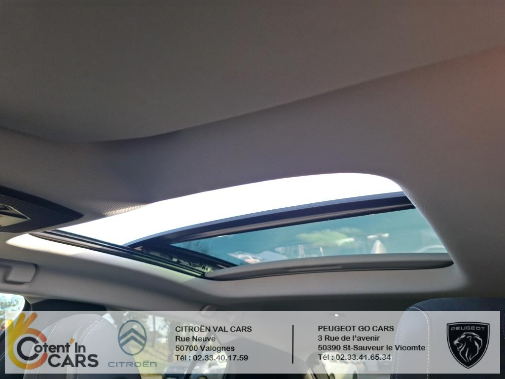 Ds DS 4 (2) PURETECH 130 PERFORMANCE LINE + AUTO