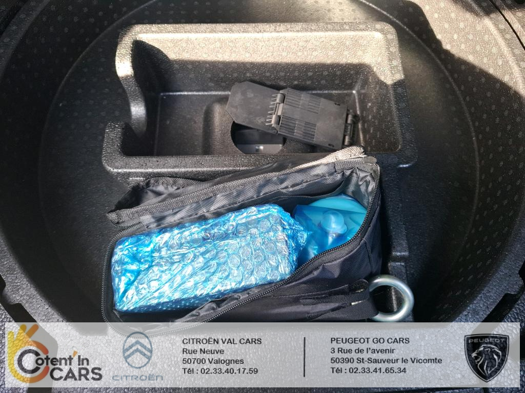 Ds DS 4 (2) PURETECH 130 PERFORMANCE LINE + AUTO