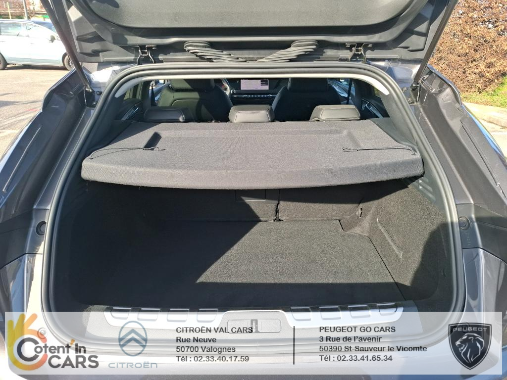 Ds DS 4 (2) PURETECH 130 PERFORMANCE LINE + AUTO