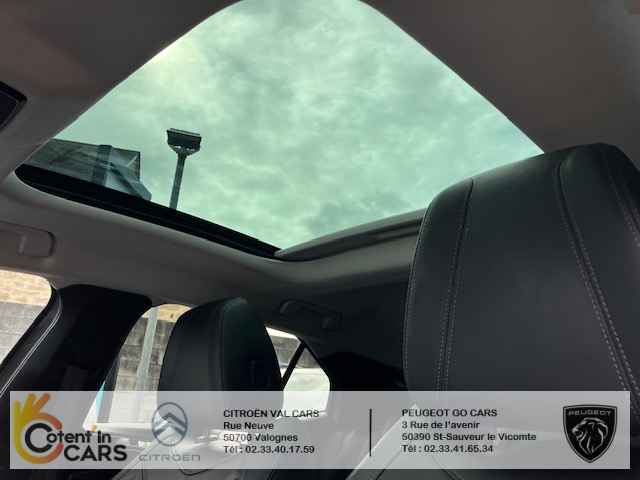 Ds DS 4 (2) BLUEHDI 130 RIVOLI AUTO