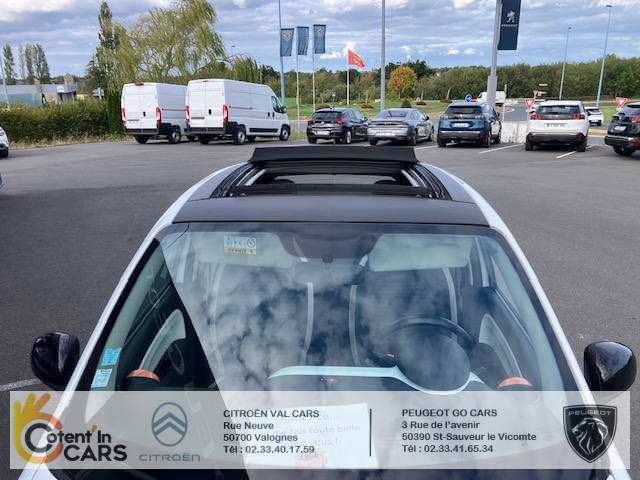 Renault Twingo (3) Hipanema Tce 90 EDC