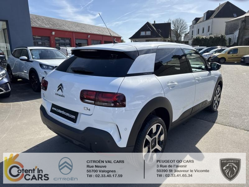 Citroën C4 Cactus BlueHDi 100 S&S BVM6 Shine Business