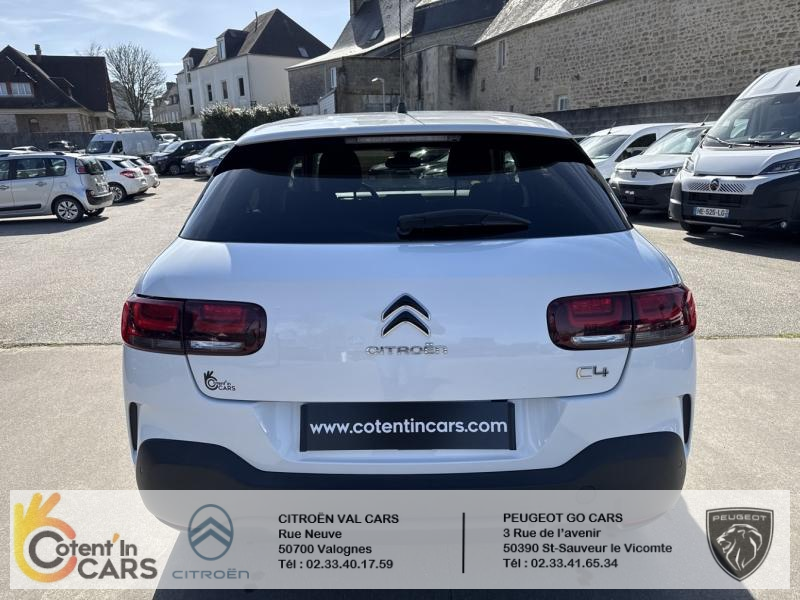 Citroën C4 Cactus BlueHDi 100 S&S BVM6 Shine Business