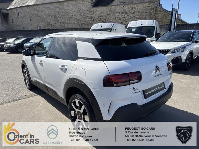Citroën C4 Cactus BlueHDi 100 S&S BVM6 Shine Business