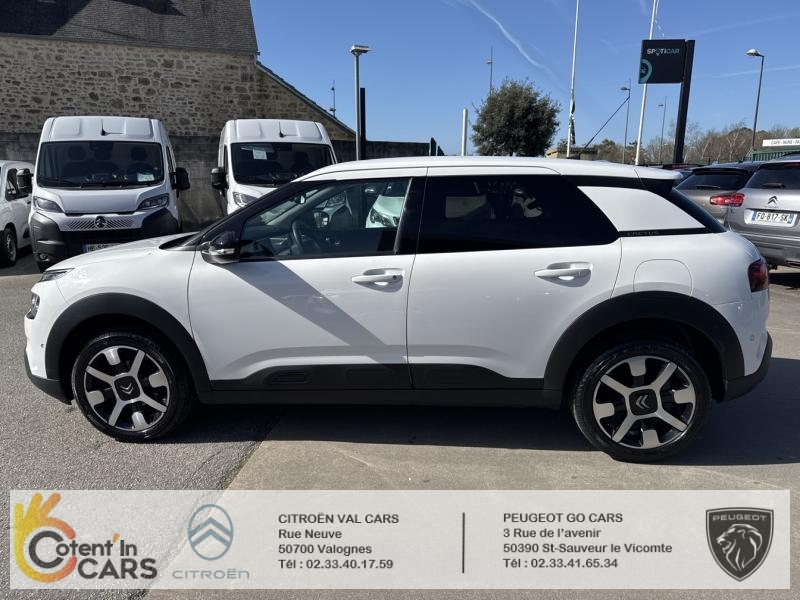 Citroën C4 Cactus BlueHDi 100 S&S BVM6 Shine Business