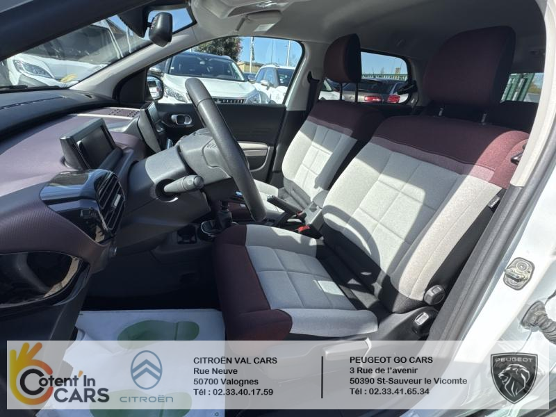 Citroën C4 Cactus BlueHDi 100 S&S BVM6 Shine Business