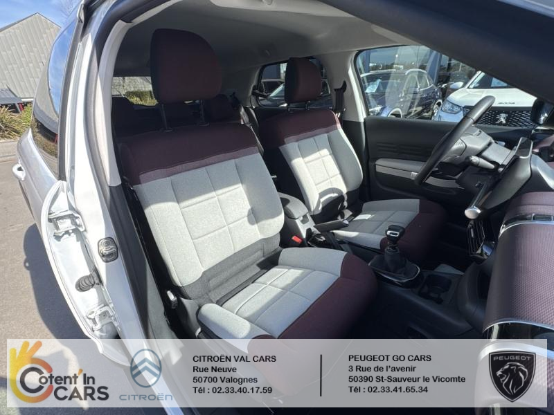 Citroën C4 Cactus BlueHDi 100 S&S BVM6 Shine Business