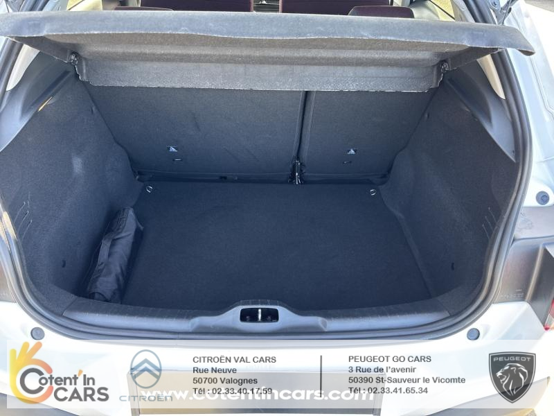 Citroën C4 Cactus BlueHDi 100 S&S BVM6 Shine Business