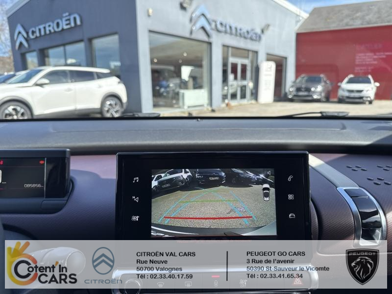 Citroën C4 Cactus BlueHDi 100 S&S BVM6 Shine Business