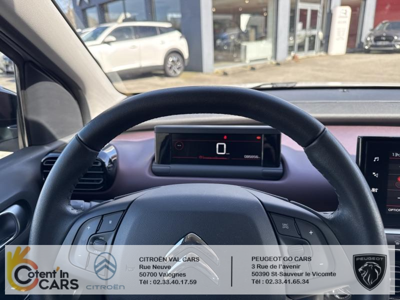 Citroën C4 Cactus BlueHDi 100 S&S BVM6 Shine Business