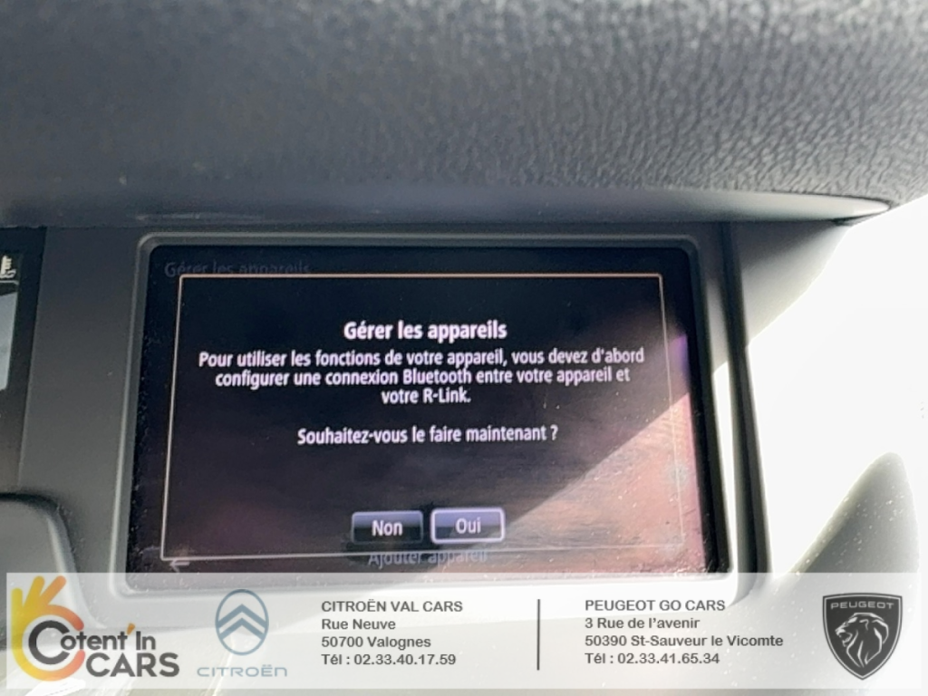 Renault Scénic (3) Business Energy dCi 110